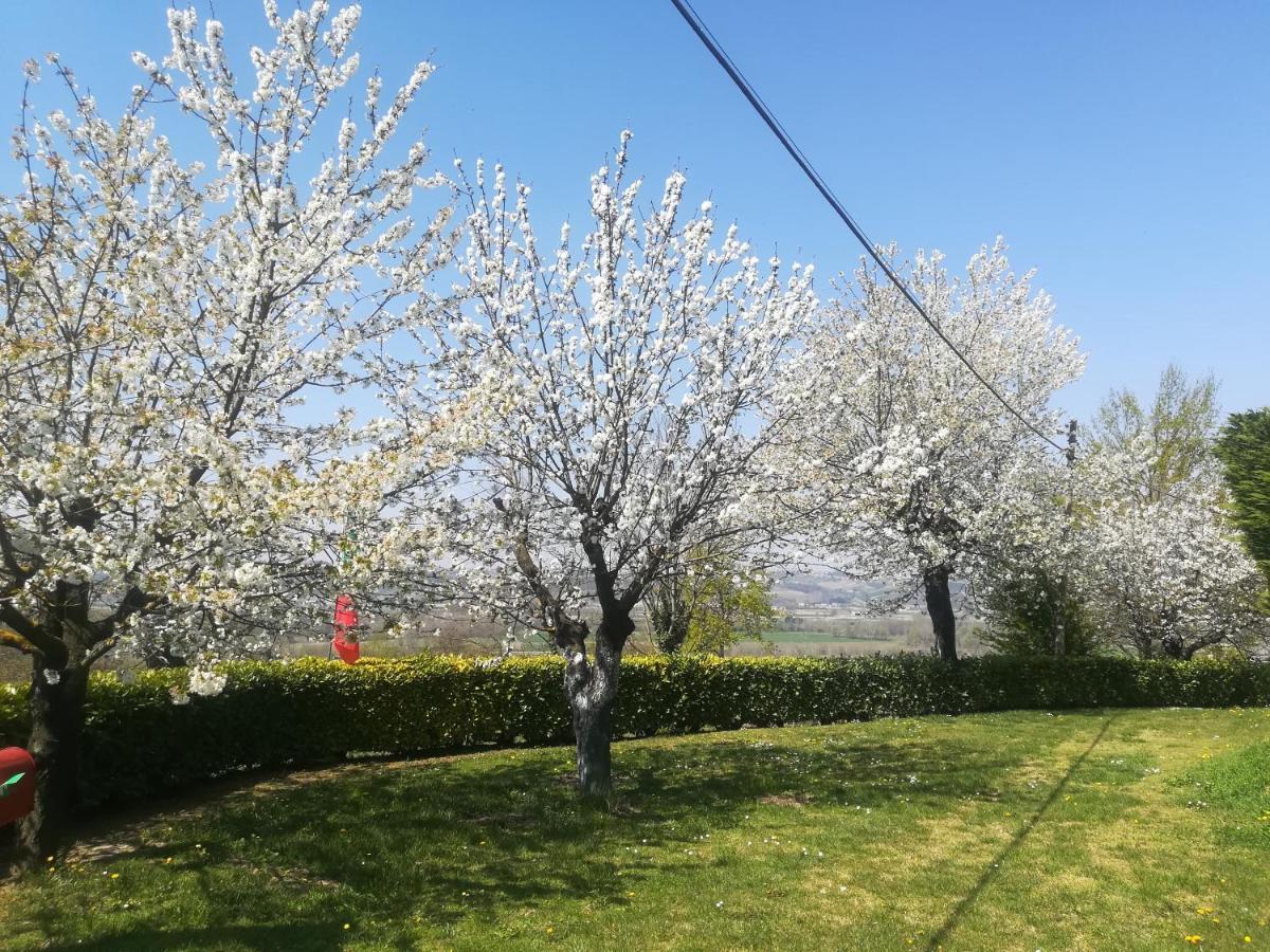 Locazione Turistica Cascina Pela Appartement Castagnole delle Lanze Buitenkant foto
